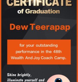 Ticket: Wealth & Joy Simulation #11